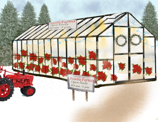 Poinsettia Farms